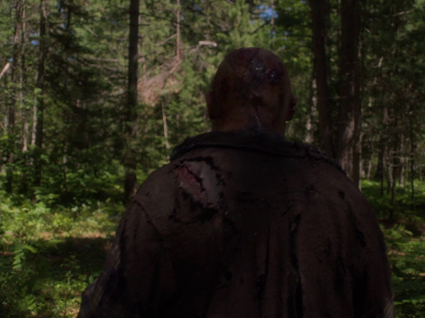 暴力本性